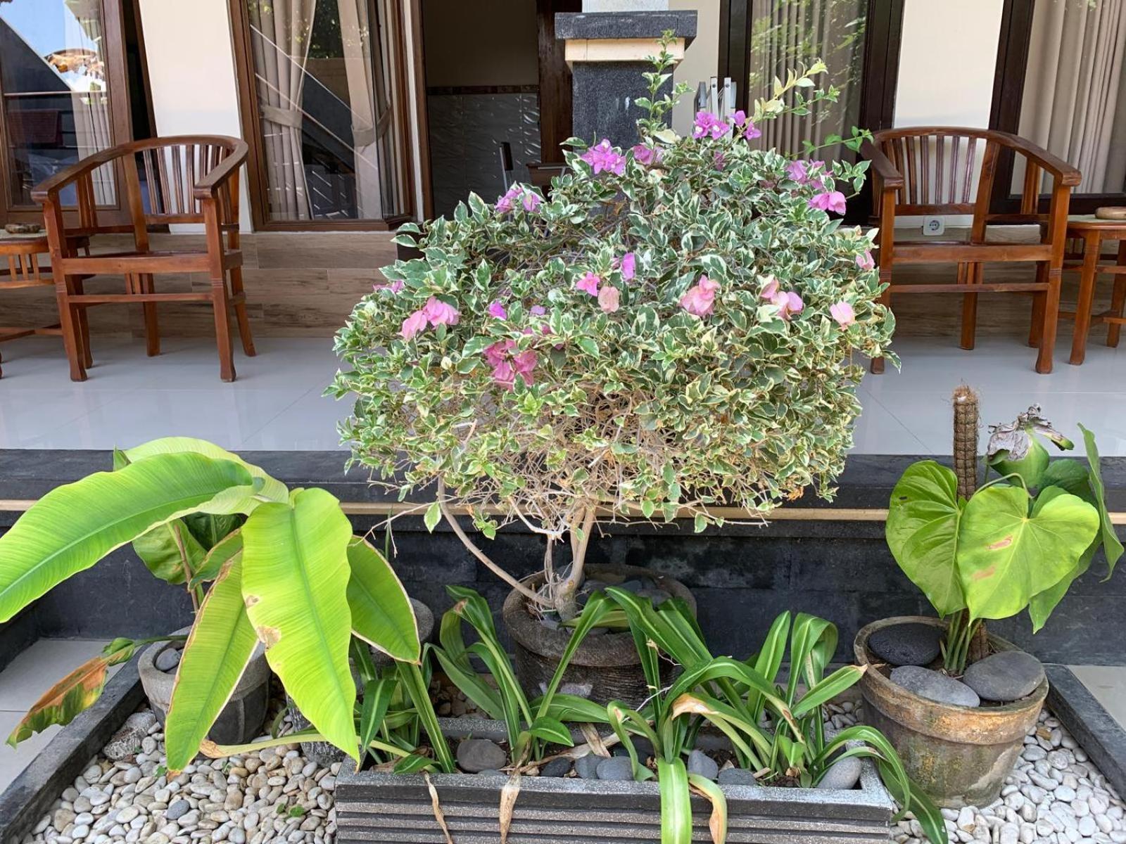 Jepun Inn Padangbai (Bali) Exterior foto