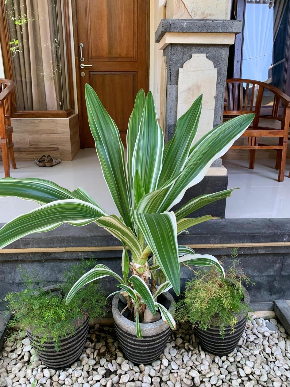 Jepun Inn Padangbai (Bali) Exterior foto